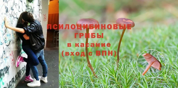 тгк Алексин