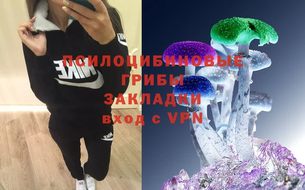 тгк Алексин