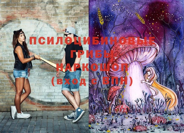 таблы Армянск