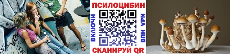 ссылка на мегу tor цена наркотик Макушино Псилоцибиновые грибы GOLDEN TEACHER